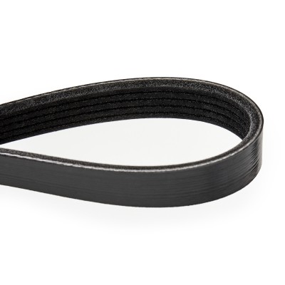 V-Ribbed Belt RIDEX 305P0174 305P0174 - photo 5
