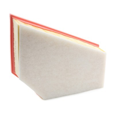 Air Filter RIDEX 8A0550 8A0550 - photo 4