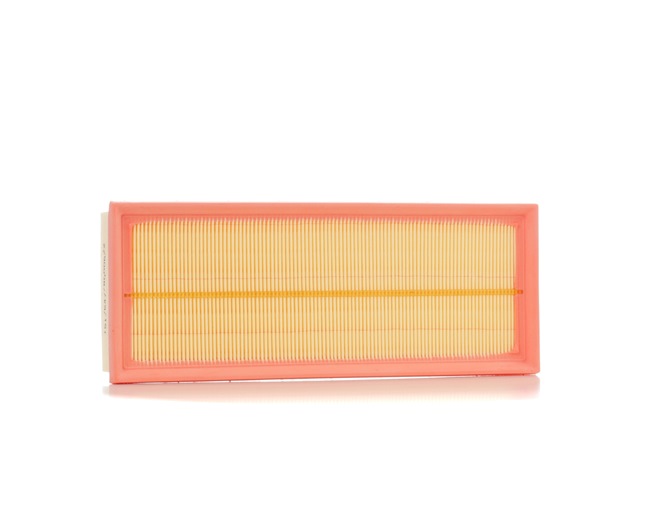Air Filter RIDEX 8A0004 8A0004 - photo 1