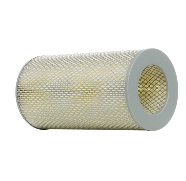 Air Filter RIDEX 8A0293 8A0293 - photo 1