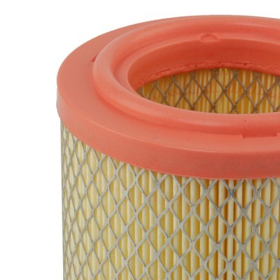 Air Filter RIDEX 8A0198 8A0198 - photo 5