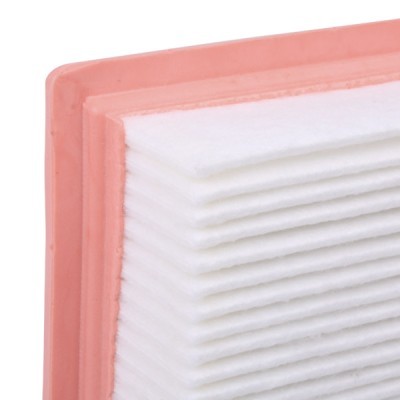 Air Filter RIDEX 8A0301 8A0301 - photo 5