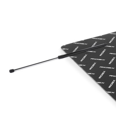 Gas Spring, boot-/cargo area RIDEX 219G1110 219G1110 - photo 2