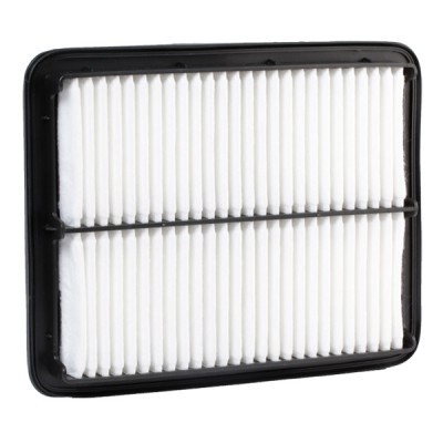 Air Filter RIDEX 8A0263 8A0263 - photo 4