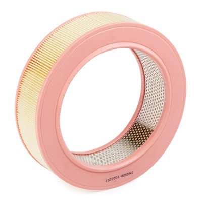 Air Filter RIDEX 8A0425 8A0425 - photo 3