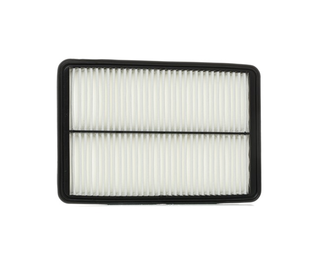 Air Filter RIDEX 8A0670 8A0670 - photo 1