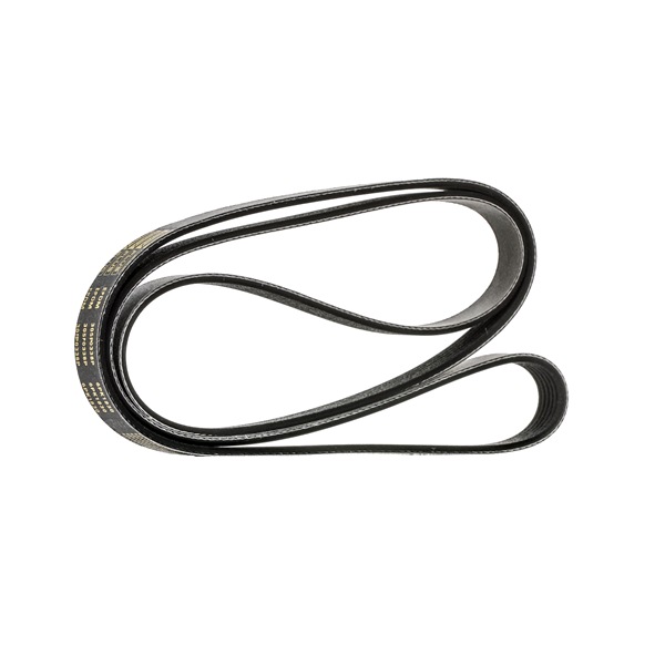 V-Belt RIDEX 305P0338P 305P0338P - photo 1