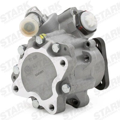 Hydraulic Pump, Steering System Stark SKHP-0540124 SKHP-0540124 - photo 6