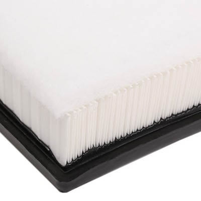 Air Filter RIDEX 8A0257 8A0257 - photo 5