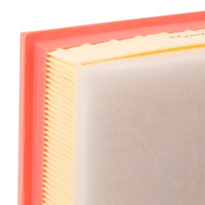 Air Filter RIDEX 8A0661 8A0661 - photo 5