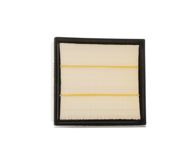 Air Filter RIDEX 8A0773 8A0773 - photo 1
