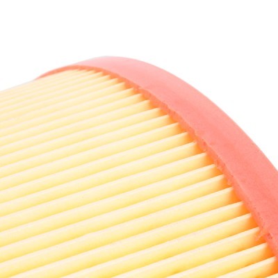 Air Filter RIDEX 8A0614 8A0614 - photo 5