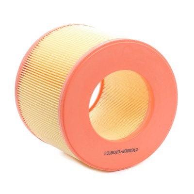 Air Filter RIDEX 8A0138 8A0138 - photo 3