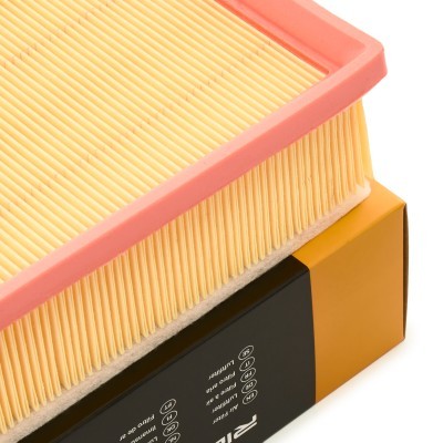 Air Filter RIDEX 8A0967 8A0967 - photo 4