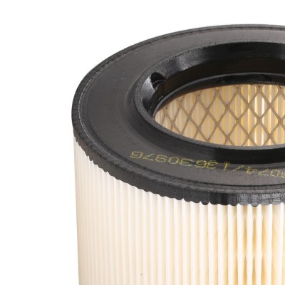 Air Filter RIDEX 8A0551 8A0551 - photo 5