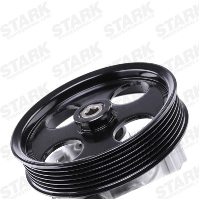 Hydraulic Pump, Steering System Stark SKHP-0540159 SKHP-0540159 - photo 5
