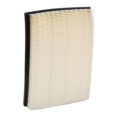Air Filter RIDEX 8A0281 8A0281 - photo 4