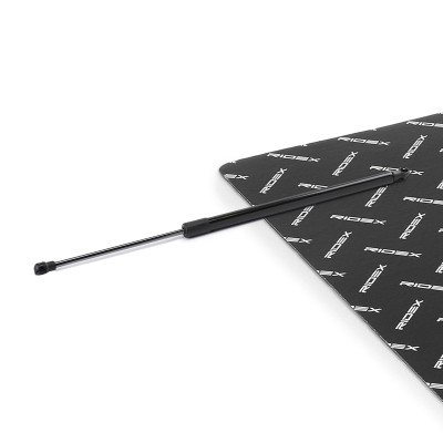 Gas Spring, boot-/cargo area RIDEX 219G1081 219G1081 - photo 2
