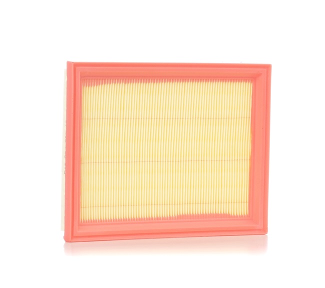 Air Filter RIDEX 8A0043 8A0043 - photo 1