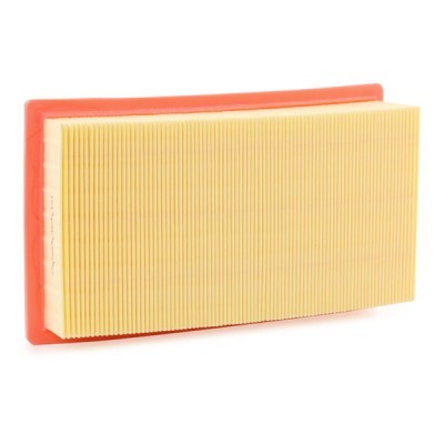 Air Filter RIDEX 8A0443 8A0443 - photo 3