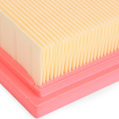 Air Filter RIDEX 8A0689 8A0689 - photo 5