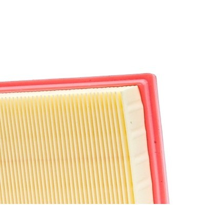 Air Filter RIDEX 8A0110 8A0110 - photo 4