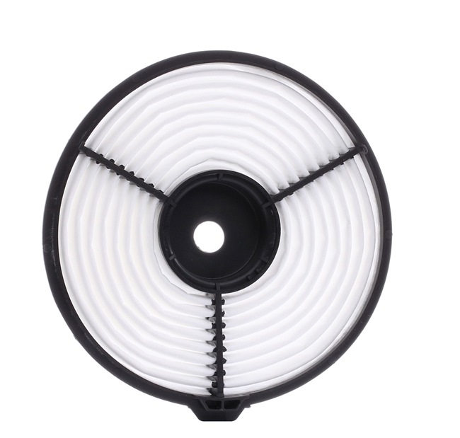 Air Filter RIDEX 8A0206 8A0206 - photo 1