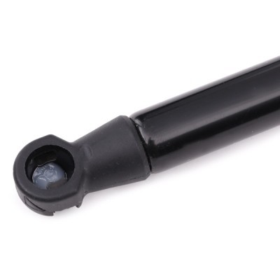 Bonnet Gas RIDEX 219G0354 219G0354 - photo 4