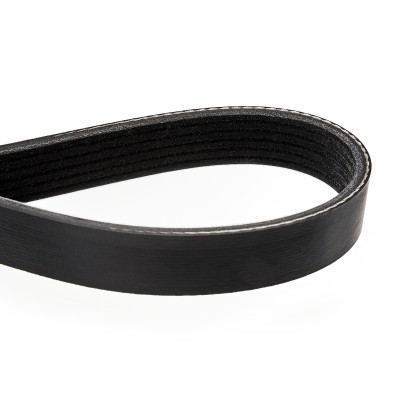 V-Ribbed Belt RIDEX 305P0171 305P0171 - photo 5
