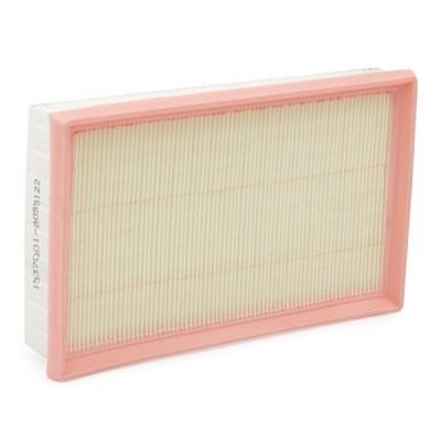 Air Filter RIDEX 8A0270 8A0270 - photo 6