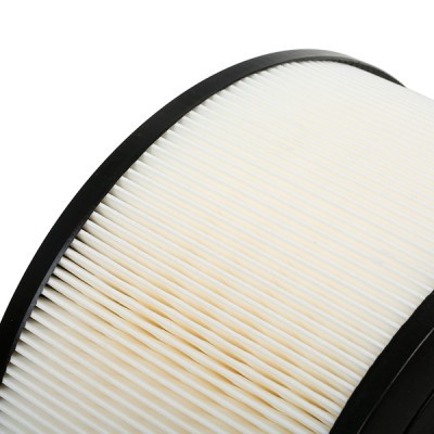 Air Filter RIDEX 8A0589 8A0589 - photo 5