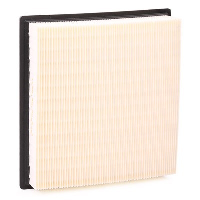 Air Filter RIDEX 8A0209 8A0209 - photo 5