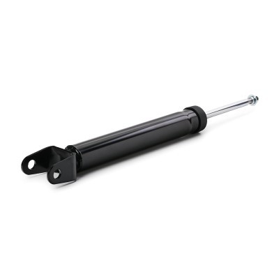 Shock Absorber RIDEX 854S2480 854S2480 - photo 5