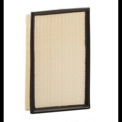 Air Filter RIDEX 8A0354 8A0354 - photo 2
