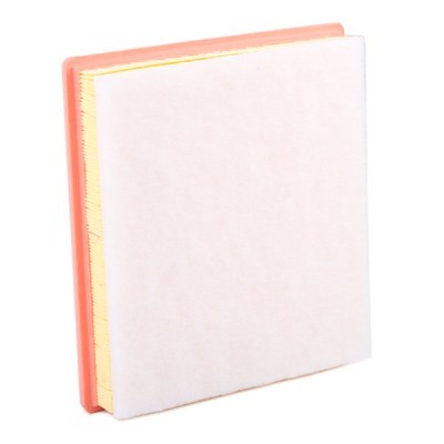 Air Filter RIDEX 8A0261 8A0261 - photo 5