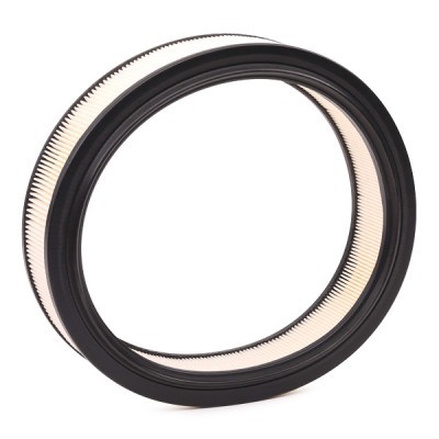 Air Filter RIDEX 8A0303 8A0303 - photo 4