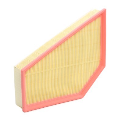 Air Filter RIDEX 8A0550 8A0550 - photo 3