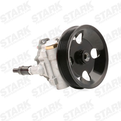 Hydraulic Pump, Steering System Stark SKHP-0540198 SKHP-0540198 - photo 3