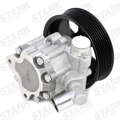 Hydraulic Pump, Steering System Stark SKHP-0540099 SKHP-0540099 - photo 4