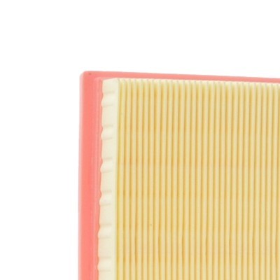 Air Filter RIDEX 8A0305 8A0305 - photo 4