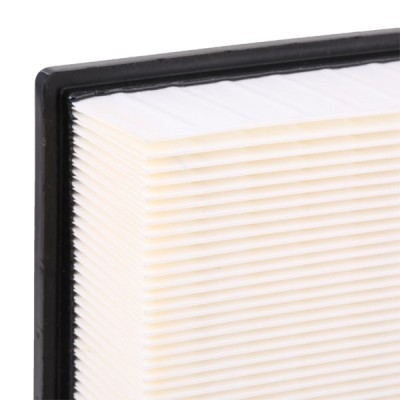 Air Filter RIDEX 8A0151 8A0151 - photo 5
