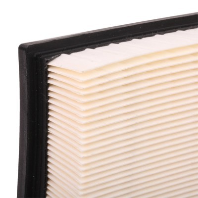 Air Filter RIDEX 8A0085 8A0085 - photo 6