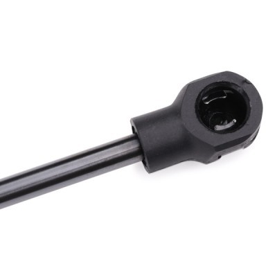 Bonnet Gas RIDEX 219G0354 219G0354 - photo 5