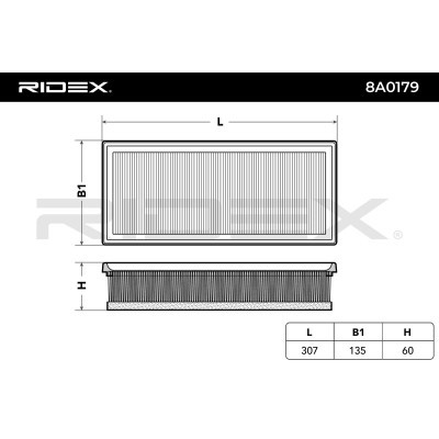 Air Filter RIDEX 8A0179 8A0179 - photo 3