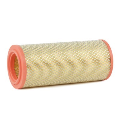 Air Filter RIDEX 8A0198 8A0198 - photo 4