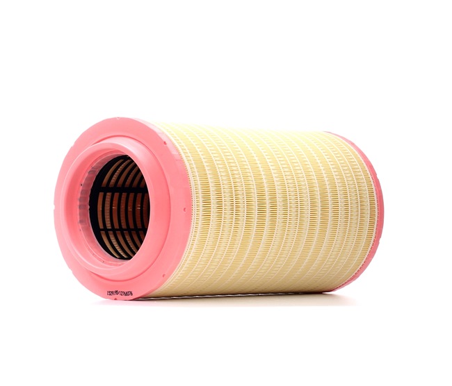 Air Filter RIDEX 8A0732 8A0732 - photo 1