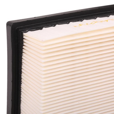 Air Filter RIDEX 8A0055 8A0055 - photo 6