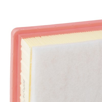 Air Filter RIDEX 8A0144 8A0144 - photo 5