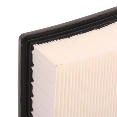 Air Filter RIDEX 8A0370 8A0370 - photo 5