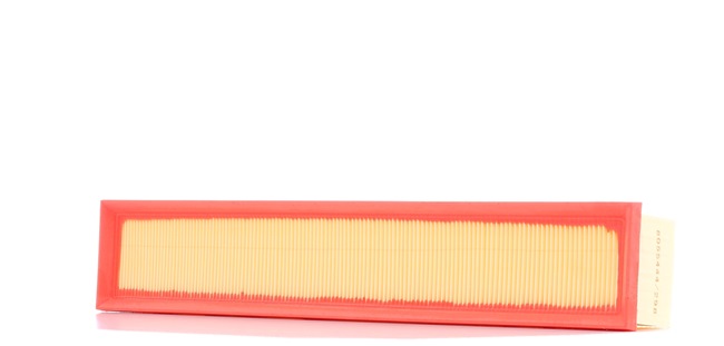 Air Filter RIDEX 8A0422 8A0422 - photo 1